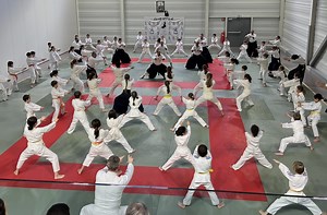 Aïkido - FFAAA - Aïkido Aïkibudo Kinomichi et disciplines associées