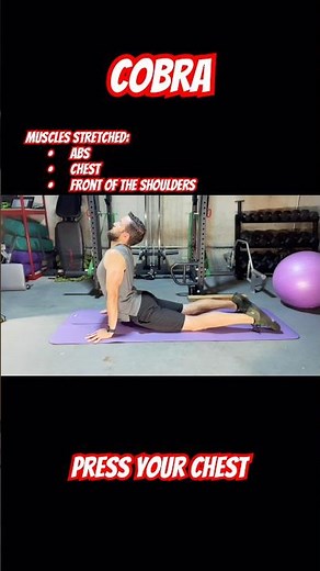 Fix Tight Abs & Back Pain FAST 🐍 Cobra Stretch (Beginner Friendly!)