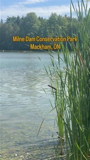 Visiting Milne Dam Conservation Park in Markham 🌿🔥