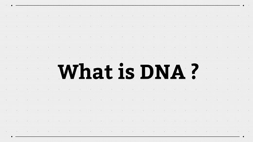 What is DNA?