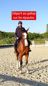 1K views · 11 reactions | Départ au galop en équilibre Téléchargez 50 exercices au galop ⤵ sio.terredesportequestre.com/galop-50 | Terre de Sport Equestre | Facebook
