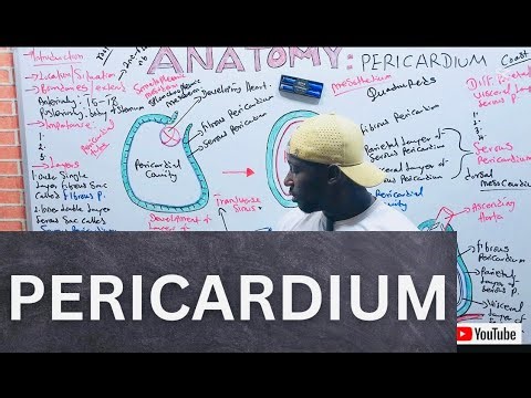 Pericardium Anatomy Made EASY: Layers, Function & Clinical Relevance Explained.
