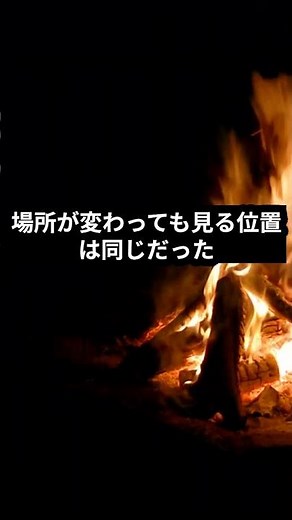天井を見つめていた猫#ゾッとする話 #実話怪談 #怪談 #ホラーショート #怖い話 #短編ホラー #本当にあった怖い話