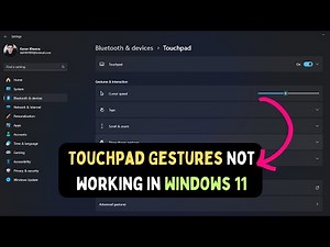 How to Fix Touchpad Gestures Not Working in Windows 11