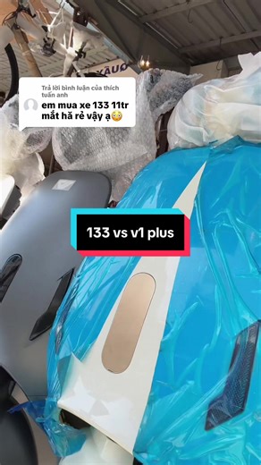 So sánh xe đạp điện 133 và V1 Plus: Giá cả và chất lượng