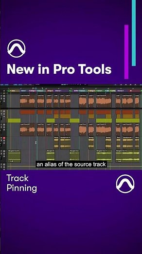 Track Pin allows users to lock the position of one or more tracks in Pro Tools