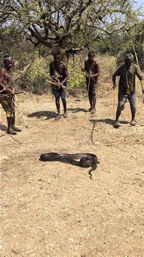 😳🤔 #reels #africa