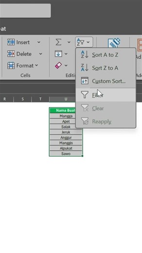 Cara Membuat Filter di Excel