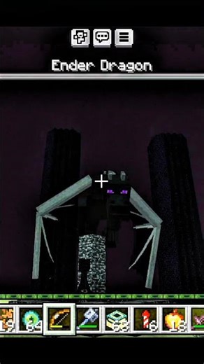 me vs ender dragon who win ? #shorts