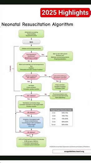 ❤️ Neonatal Resuscitation 2025 highlights| #acls #bls #norcetmcq #nursingofficer #mcq #norcet10