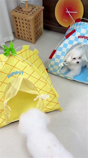 This cute dog bed is absolutely amazing 🤯#Shorts #SmallDogBed #PuppyBed