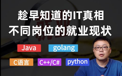 2025年IT行业不同岗位的真实就业现状，想入坑的程序员一定要注意！！码士集团