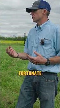 How to build fencing! #livestock #fence