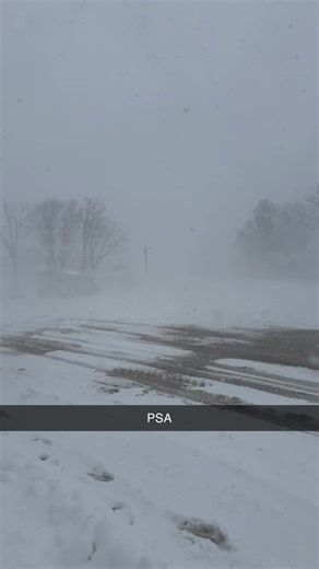 Paper Straws vs Plastic Straws: A Blizzard of Debate