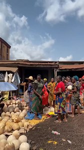 Best of funny Speedo 🤣🤣🤣 #reelschallenge #dog #reels #fblifestyle #africa | Funny speedo