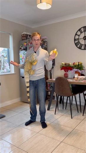 How to catch an iguana 🦎 #petlovers #pets #foryou #animal s al