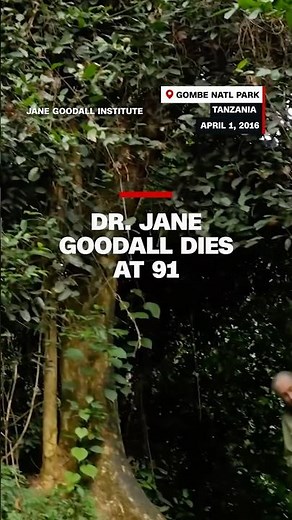 Dr. Jane Goodall dies at 91