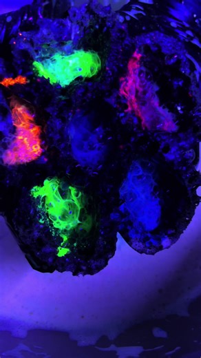 NEON ASMR*Im going to try again with same sponge but not cheap product. I had big plans but….no suds as the DT DS was like water 🤬 so I added powder twice and more ds still failed 🙄🤷‍♀️ but it’s good for the sounds for sure!!! Neon faded and turned to swamp 🫢 #visualasmr #fyp #asmr #asmrsounds #anxietyrelief