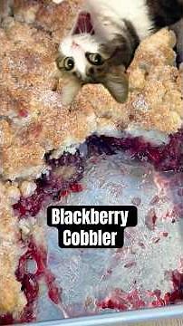 Wow I was surprised , BlackBerry Cobbler #recipe #delicious #dessert #breakfast #baking