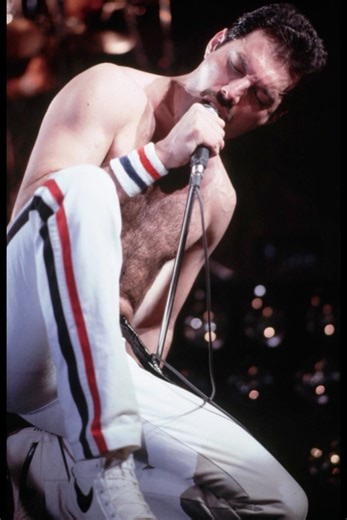 3.5K views · 378 reactions | Queen: Dragon Attack#freddiemercury #Queen #QueenFactory | Queen Factory | Facebook