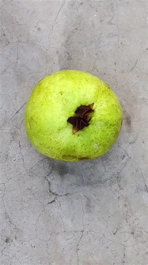 Fruit Cutting Techniques for Healthy Snacking