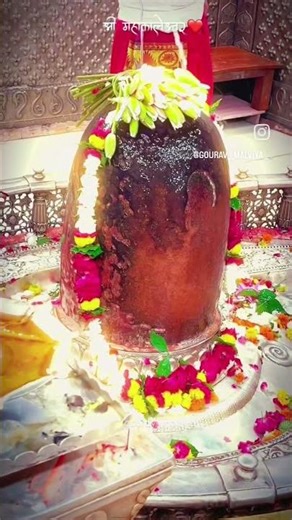 कैलाश के निवाशी 🔱🌺🥀|| #shorts