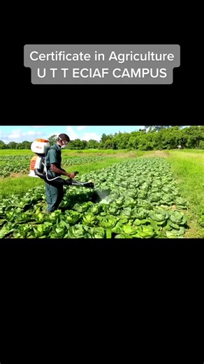 Certificate in Agriculture - UTT ECIAF CAMPUS