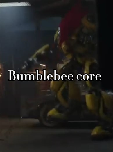 Exploring Bumblebee Core from Transformers