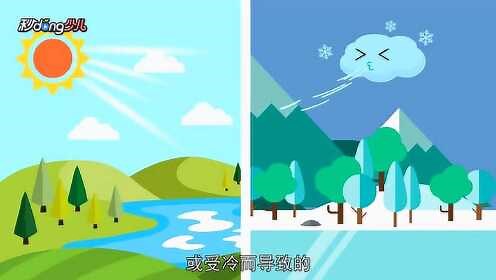 风是怎样形成的？