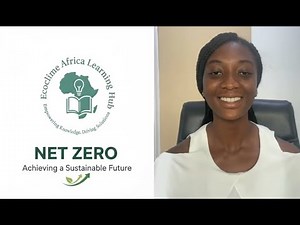 Net Zero Explained: Understanding Climate Change & Sustainability