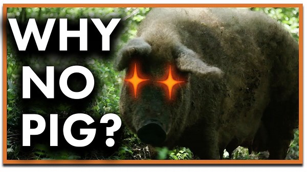 The Ancient Origins of the Pork Taboo: Religion, Class, and Culture