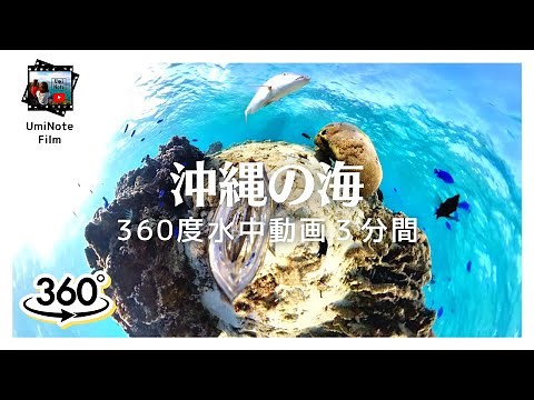 【4k 360°view｜vol.2】沖縄本島 恩納村の天然水族館を360度動画で楽しむ3分間｜沖縄の水中世界でリラックスタイム♡ relux refresh nature