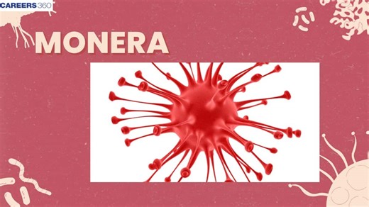 Monera: Definition, Classification, Characteristics, Structure, Examples
