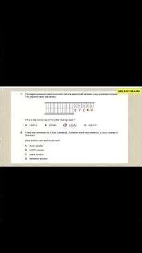 CAMBRIDGE IGCSE BIOLOGY 0610 CHAPTER 4 BIOLOGICAL MOLECULES