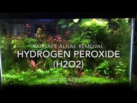 BANISH Algae From Your Aquarium With HYDROGEN PEROXIDE [Algae Control in Planted Tanks]