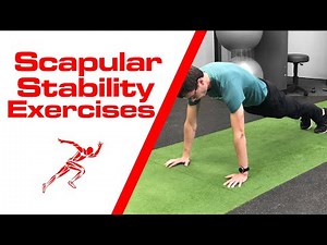 Scapular Stability Exercises | 5 Variations
