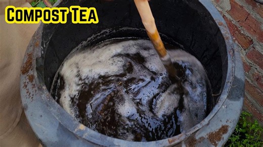 How to Make Compost Tea at Home — No Bubbler Needed