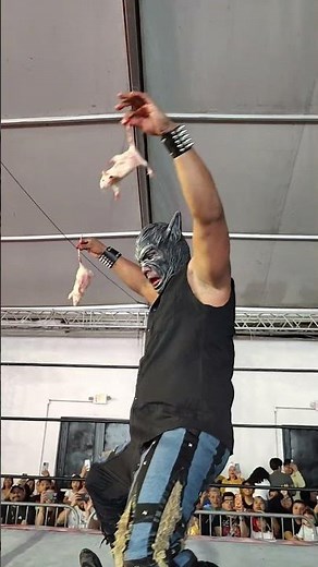 “OMG… THE RATS ARE LOOSE?! 😳🐀 #luchalibre”