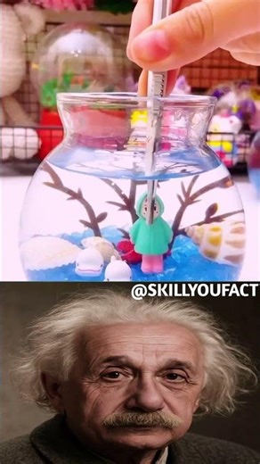 SIGMA PHYSICS TEACHER 🗿