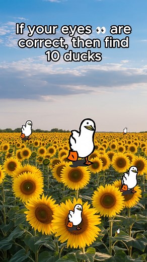 Eyetest 👀 find all the 10 ducks! #puzzles #find #eyetest | Tail Made Tales