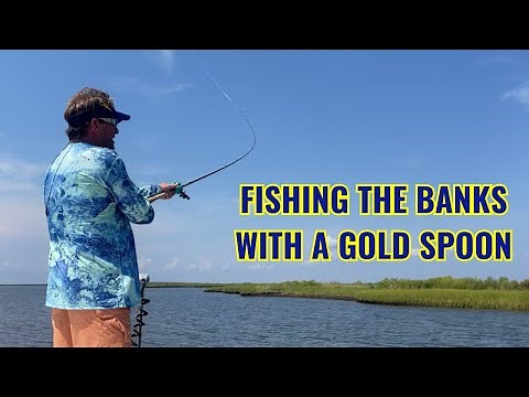 Fishing the Banks with a Gold Spoon