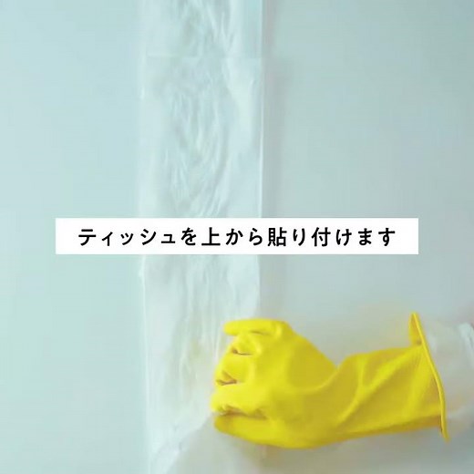 花王 ブランド横断 裏ワザそうじ カビハイターティッシュ 動画広告