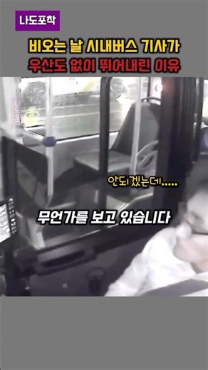 횡단보도 질주한 버스기사