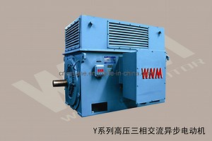 [Hot Item] IC611 Teaac Air to Air Cooled High Voltage AC Induction Motor (YKK630-4)