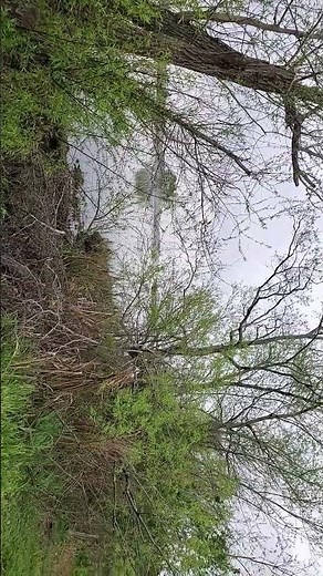 Video of Bayou Segnette State Park Campground, LA from John R.