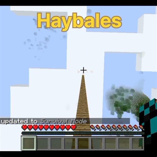 Minecraft different types of mlg 🥶 items #minecraft