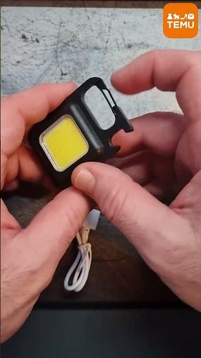 Amazing Temu Mini LED Flashlight