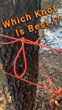 Which Is The Best Knot ! #skills #bushcraft #knots #outdoorskills