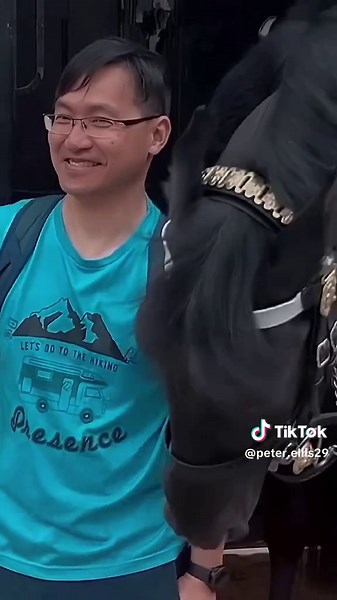 Royal Guard Surprises: A Must-See Moment in London