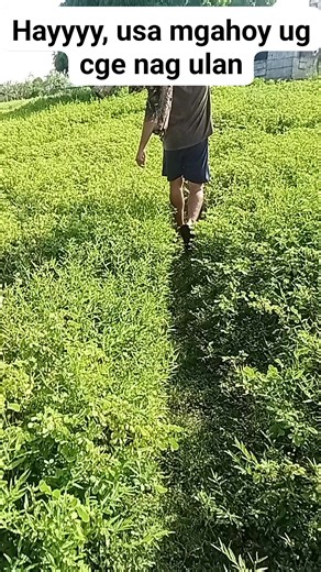 Cerelina Tilos on Reels